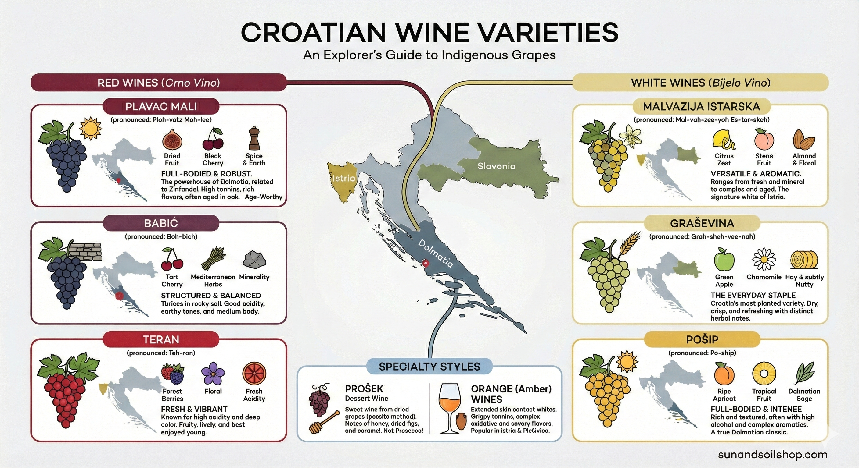 🍾 Croatian Wine: The Definitive Guide to Ancient Terroir, Indigenous Grapes, and the Zinfandel Connection