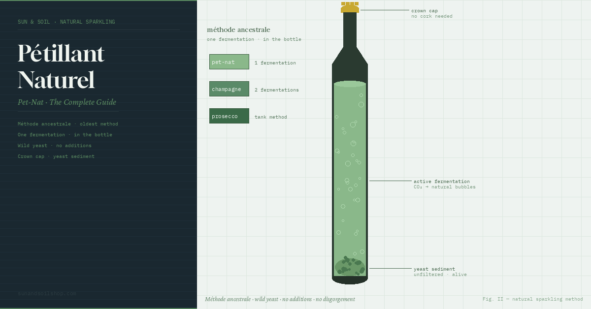Pétillant Naturel (Pet-Nat): The Complete Guide to Natural Sparkling Wine