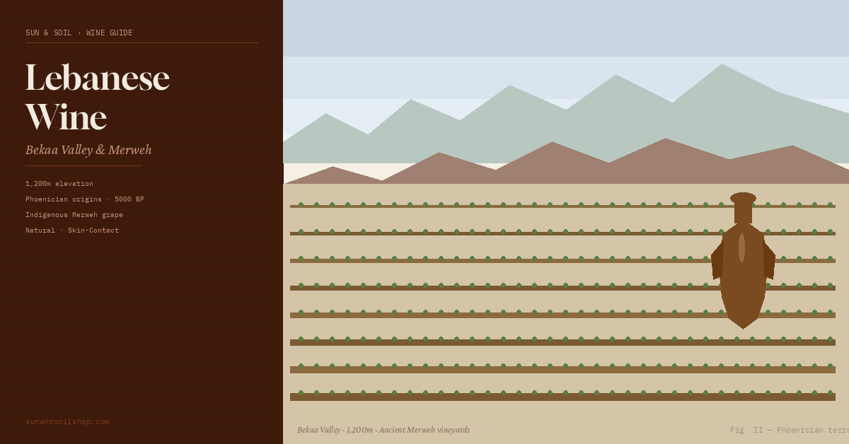 Lebanese Wine: The Complete Guide to Bekaa Valley, Merweh & the Levant's Natural Wine Story