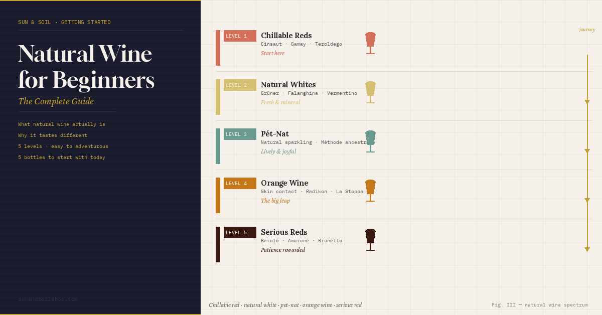 Natural Wine for Beginners: The Complete Guide to Getting Started