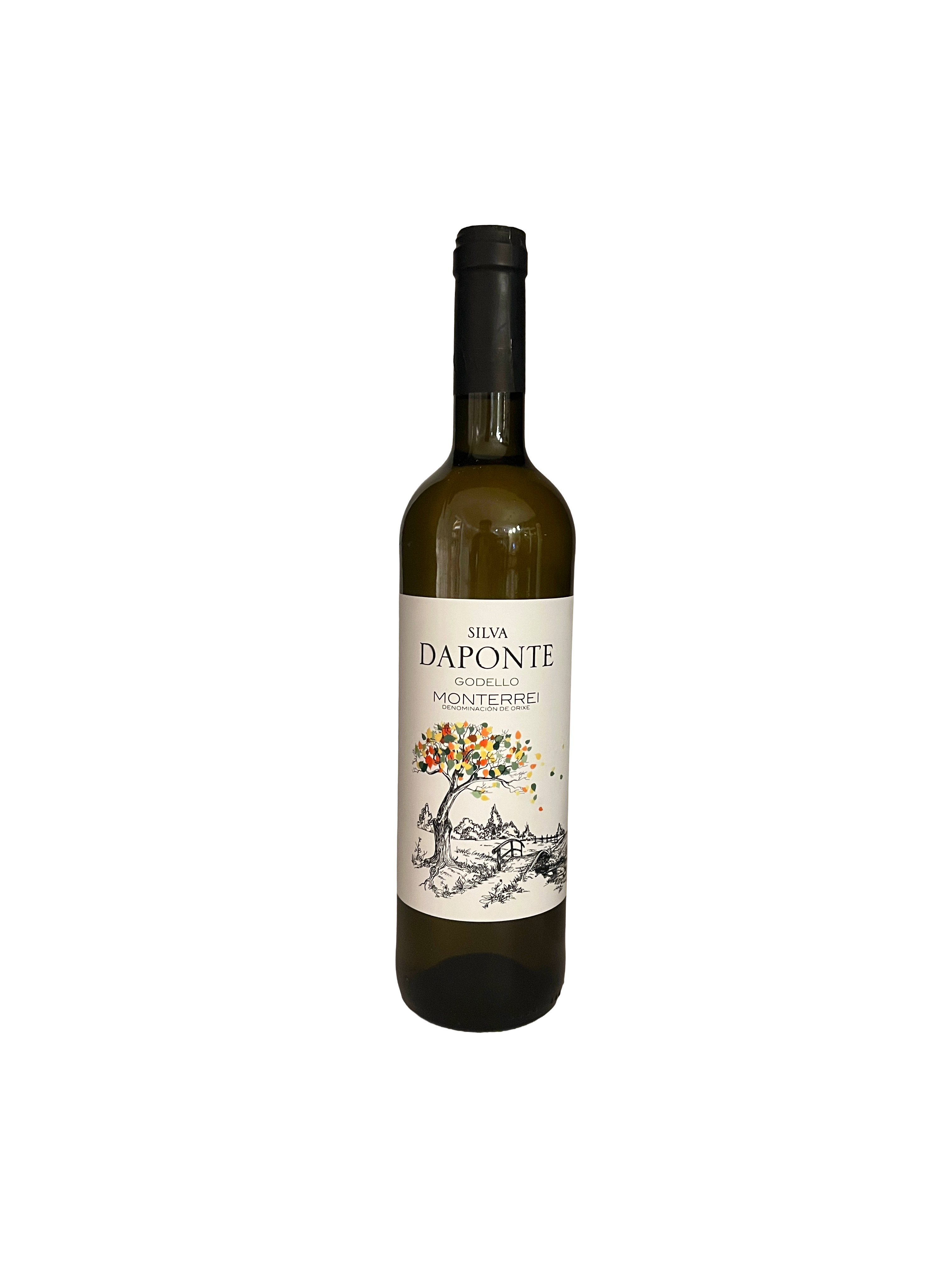 Silva Daponte Godello
