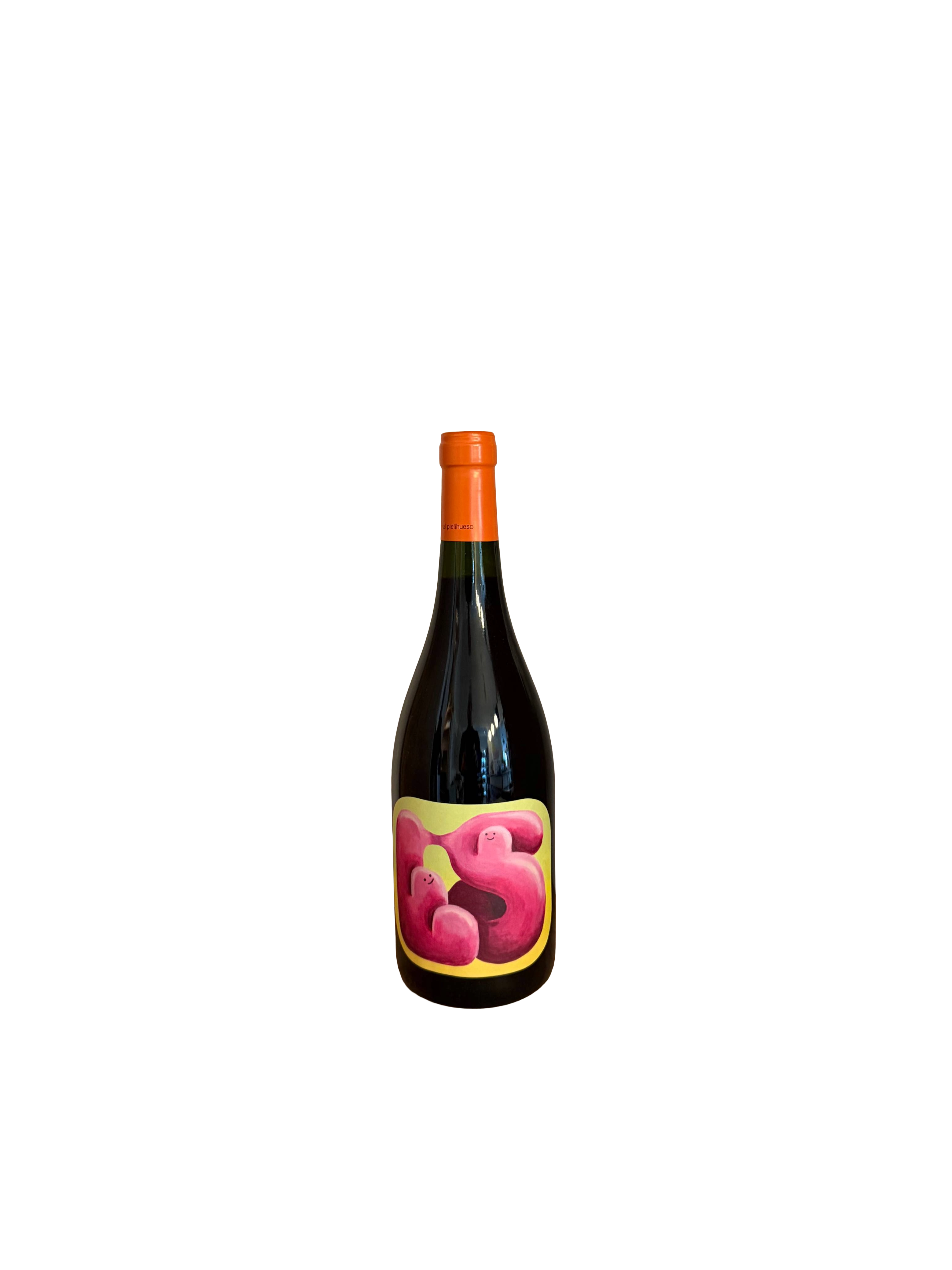 Los Sauces No2 Pielihueso